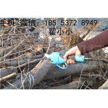 全自動修枝剪，高效又省力