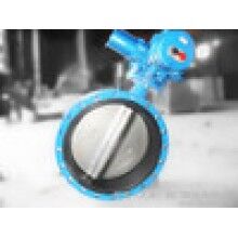 供應(yīng)手動(dòng)蝶閥