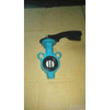 供應(yīng)dn25對(duì)夾蝶閥