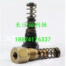 仕高瑪攪拌站潤滑油泵配件潤滑油泵泵芯/注油